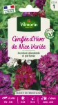 Fleurs - Giroflée d'Hiver de Nice Variée - face recto
