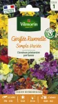 Fleurs - Giroflée Ravenelle Simple Variée - face recto