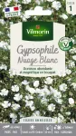 Fleurs - Gypsophile Nuage Blanc - PACKAGING_RECTO