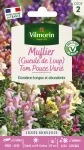 Fleurs - Muflier (Gueule de Loup) Tom Pouce Varié - PACKAGING_RECTO