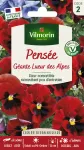 Fleurs - Pensée Géante Lueur des Alpes - PACKAGING_RECTO