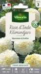 Fleurs - Rose d'Inde Kilimandjaro - PACKAGING_RECTO