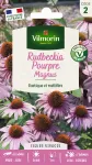 Fleurs - Rudbeckia Pourpre Magnus - PACKAGING_RECTO