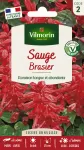 Fleurs - Sauge Brasier - PACKAGING_RECTO
