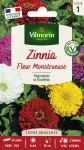 Fleurs - Zinnia à Fleur Monstrueuse  - face recto