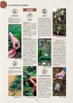 Librairie - Guide Clause du jardin - 39ème Edition - MEDIA_EN_SITUATION_1