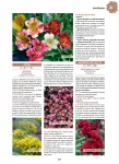 Librairie - Guide Clause du jardin - 39ème Edition - MEDIA_EN_SITUATION_2