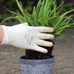 Gants - Rostaing - Gants de jardinage Nude - S (Taille 7) - MEDIA_EN_SITUATION_1