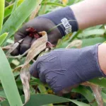 Gants - Rostaing - Gants de jardinage marron - M (Taille 8) - MEDIA_EN_SITUATION_1