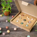 Bombes à graines - Blossombs - Coffret Cadeau Maman - 9 bombes à graines - BIO - face recto