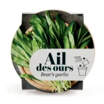 Radis et Capucine - Kit Ail des Ours - Pot en Terre Cuite Antique - 13 cm - PACKAGING_RECTO