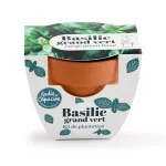 Radis et Capucine - Mini kit Basilic Grand Vert - Terre Cuite - 6 cm - PACKAGING_RECTO