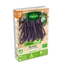 Légumes Secs - Haricot Blauhilde - BIO - PACKAGING_3D_RECTO