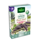 Légumes Secs - Pois Grimpant Capucine (Blauwshokker) - 20 m - PACKAGING_3D_RECTO