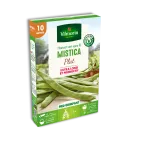 Légumes Secs - Haricot Grimpant Plat Vert Mistica - 10 m - PACKAGING_3D_RECTO
