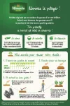 Légumes Secs - Haricot Nain Vert Eclarel - 10 m - MEDIA_PACKAGING_VERSO