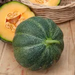 Potagères - Melon Petit Gris de Rennes - Légumes d'Autrefois - face recto
