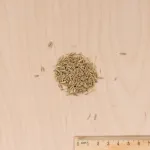 Rustique - Gazon Rustique - 1 kg - MEDIA_3D