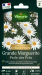 Fleuri - Pelouse Suisse - Paquerettes (x2) + Grande Marguerite Perle des Prés Offerte - MEDIA_EN_SITUATION_1