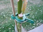 Matériel de jardinage - Clip Épingle pour Arbre et Tuteur (x6) - face recto