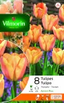 Bulbes à fleurs à planter à l'automne - Tulipe Apricot Foxx (x8) - PACKAGING_RECTO