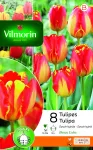 Bulbes à fleurs à planter à l'automne - Tulipe Banja Luka (x8) - PACKAGING_RECTO