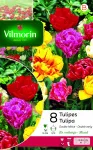 Bulbes à fleurs à planter à l'automne - Tulipe Double Hâtive en Mélange (x8) - PACKAGING_RECTO