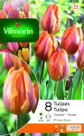 Bulbes à fleurs à planter à l'automne - Tulipe Prinsesse Irene (x8) - PACKAGING_RECTO