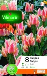 Bulbes à fleurs à planter à l'automne - Tulipe greigii Québec (x8) - PACKAGING_RECTO
