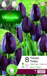 Bulbes à fleurs à planter à l'automne - Tulipe Queen of night (x8) - PACKAGING_RECTO