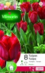 Bulbes à fleurs à planter à l'automne - Tulipe Triomphe Seadov (x8) - PACKAGING_RECTO