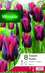 Bulbes à fleurs à planter à l'automne - Tulipe Slawa (x8) - PACKAGING_RECTO