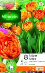 Bulbes à fleurs à planter à l'automne - Tulipe Double Tardive Sunlover (x8) - face recto