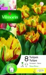Bulbes à fleurs à planter à l'automne - Tulipe Texas Flame (x8) - PACKAGING_RECTO