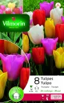 Bulbes à fleurs à planter à l'automne - Tulipe Triomphe en Mélange (x8) - PACKAGING_RECTO