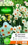 Bulbes à fleurs à planter à l'automne - Narcisse Tazetta Geranium (x5) - PACKAGING_RECTO