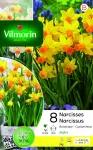 Bulbes à fleurs à planter à l'automne - Narcisse Jetfire Vil (x8) - PACKAGING_RECTO