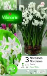Bulbes à fleurs à planter à l'automne - Narcisse Paperwhite (x3) - PACKAGING_RECTO