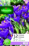 Bulbes à fleurs à planter à l'automne - Crocus Flower Record (x12) - PACKAGING_RECTO