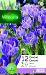 Bulbes à fleurs à planter à l'automne - Crocus Vernus Pickwick (x12) - PACKAGING_RECTO