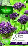 Bulbes à fleurs à planter à l'automne - Allium Atropurpereum (x10) - PACKAGING_RECTO