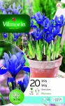 Bulbes à fleurs à planter à l'automne - Iris Reticulata Harmony (x20) - PACKAGING_RECTO