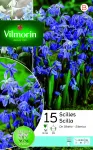 Bulbes à fleurs à planter à l'automne - Scilla Sibérie (x15) - PACKAGING_RECTO