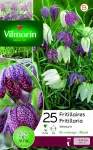 Bulbes à fleurs à planter à l'automne - Fritillaire Meleagris (x25) - PACKAGING_RECTO