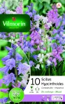 Bulbes à fleurs à planter à l'automne - Scilla Campanule en Mélange (x10) - PACKAGING_RECTO