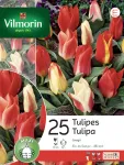 Bulbes à fleurs à planter à l'automne - Tulipe Greigii en Mélange (x25) - face recto