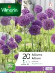 Bulbes à fleurs à planter à l'automne - Allium Purple Sensation en Mélange (x20) - face recto