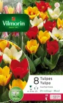 Bulbes à fleurs à planter à l'automne - Tulipe Kaufmannia Selection en Mélange (x8) - PACKAGING_RECTO