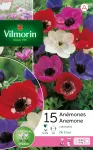Bulbes à fleurs à planter à l'automne - Anémone De Caen En Mélange (x15) - face recto