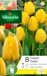 Bulbes à fleurs à planter à l'automne - Tulipe Golden Apeldoorn (x8) - PACKAGING_RECTO